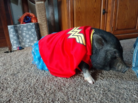 Entry image for Chrissy. Clicking this image will show a larger photo