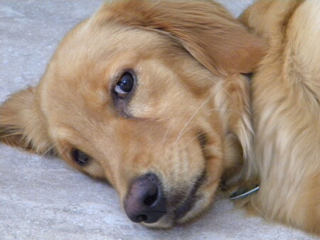 Entry image for Rylee. Clicking this image will show a larger photo