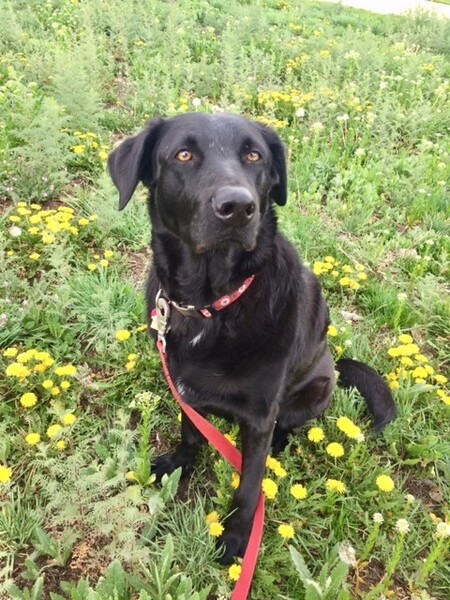 Entry image for Nora. Clicking this image will show a larger photo