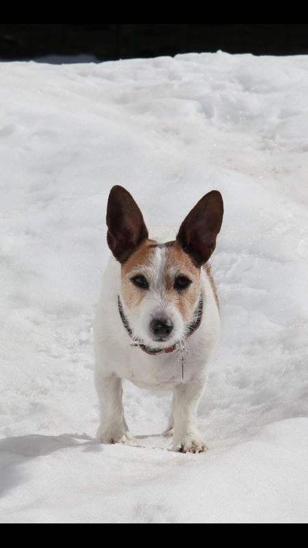 Entry image for Tank. Clicking this image will show a larger photo