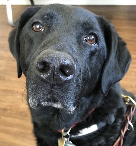 Entry image for Hoyt. Clicking this image will show a larger photo