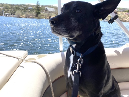 Entry image for Aires. Clicking this image will show a larger photo