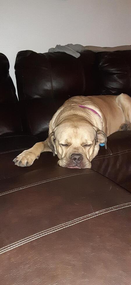 Entry image for Keke. Clicking this image will show a larger photo