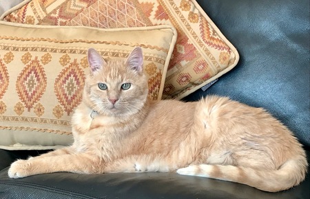 Entry image for Toby Tiler Hart. Clicking this image will show a larger photo