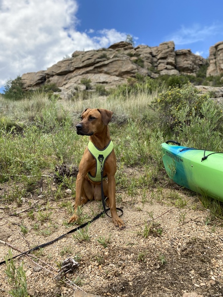 Entry image for Maggie. Clicking this image will show a larger photo