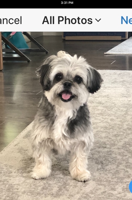 Entry image for Mini . Clicking this image will show a larger photo