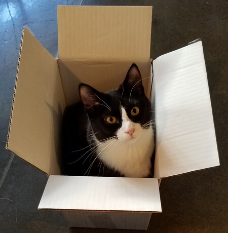 Entry image for Johnny June. Clicking this image will show a larger photo