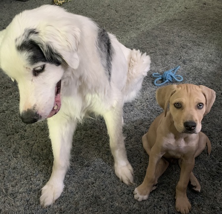 Entry image for Steve and Calvin. Clicking this image will show a larger photo