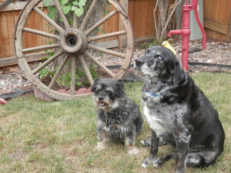 Entry image for Cindy & Skip. Clicking this image will show a larger photo