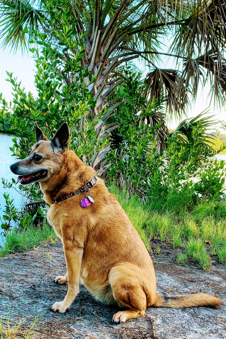 Entry image for Koa Barnes. Clicking this image will show a larger photo