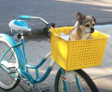 Entry image for Ivan. Clicking this image will show a larger photo