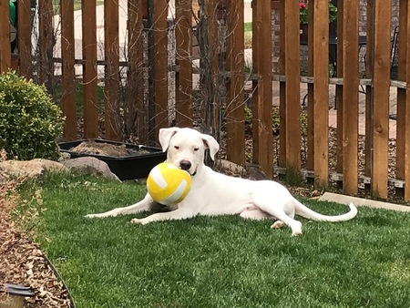 Entry image for Odin. Clicking this image will show a larger photo