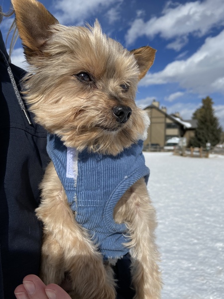 Entry image for Markie. Clicking this image will show a larger photo