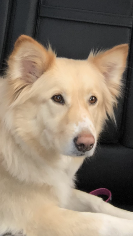 Entry image for Dina Louise. Clicking this image will show a larger photo