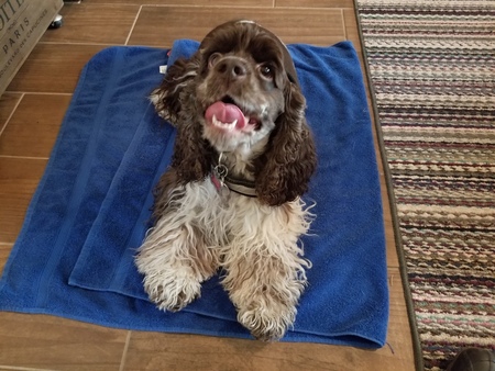 Entry image for Yenta. Clicking this image will show a larger photo