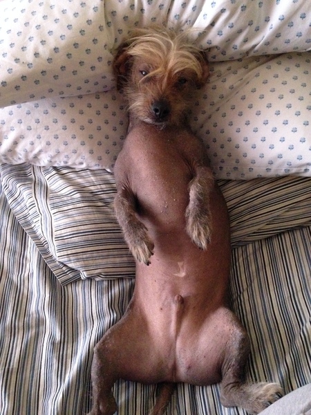 Entry image for Harry J. Clicking this image will show a larger photo