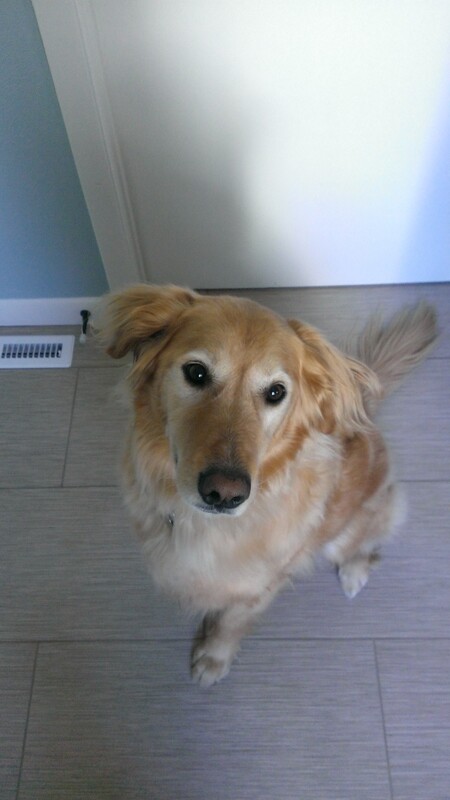 Entry image for carson. Clicking this image will show a larger photo