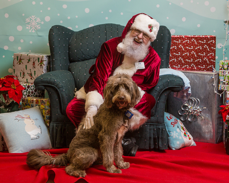 Entry image for Hudson Williams. Clicking this image will show a larger photo