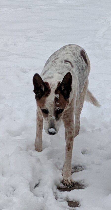 Entry image for Hazel Murphy. Clicking this image will show a larger photo