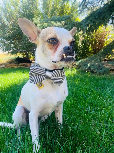 Entry image for Ocho. Clicking this image will show a larger photo