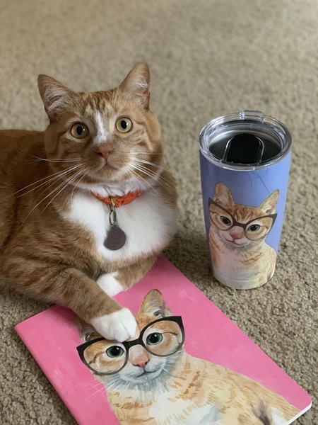 Entry image for Phil. Clicking this image will show a larger photo