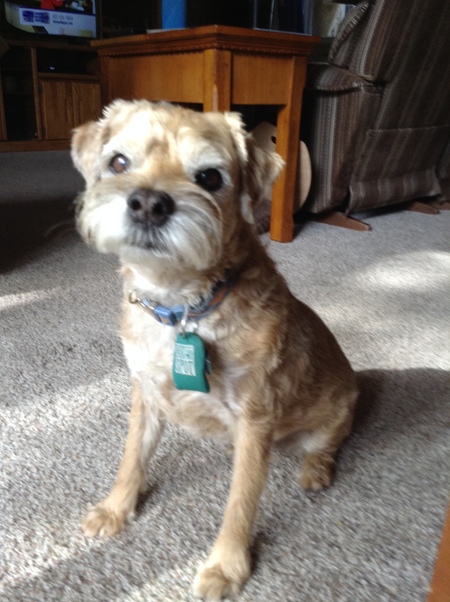 Entry image for Myles. Clicking this image will show a larger photo