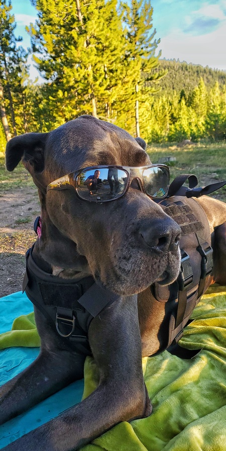 Entry image for Cash. Clicking this image will show a larger photo