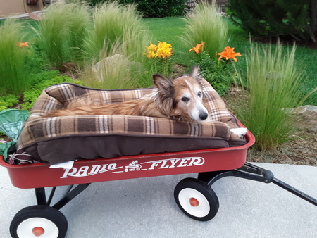 Entry image for Kiley Hackett. Clicking this image will show a larger photo