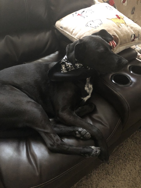 Entry image for Libby. Clicking this image will show a larger photo