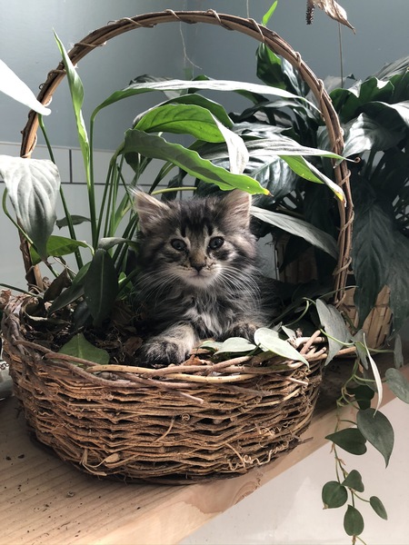 Entry image for Omar. Clicking this image will show a larger photo