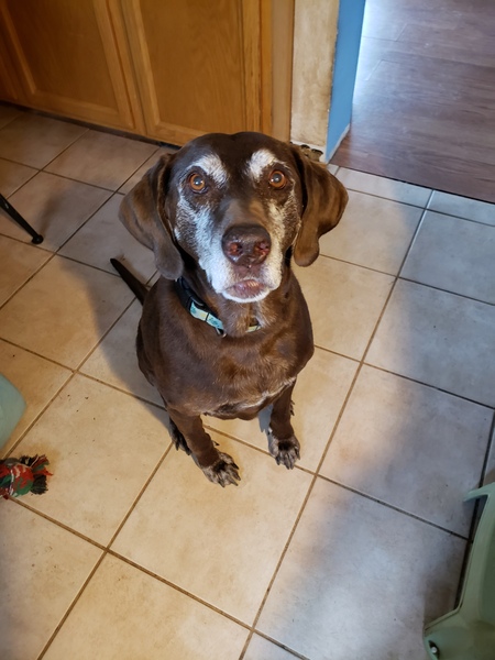 Entry image for Nani. Clicking this image will show a larger photo