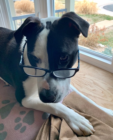 Entry image for Luna Smooches. Clicking this image will show a larger photo