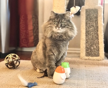 Entry image for LadyBug. Clicking this image will show a larger photo