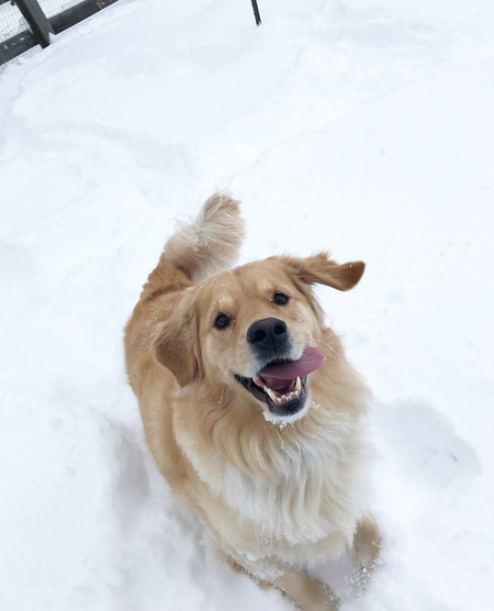 Entry image for Lambeau. Clicking this image will show a larger photo