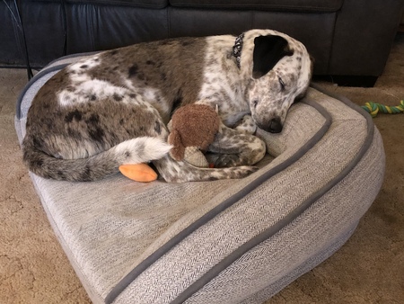 Entry image for Bree. Clicking this image will show a larger photo