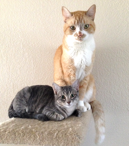 Sam and Rainy