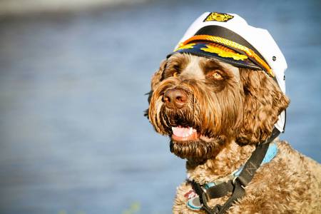 Captain