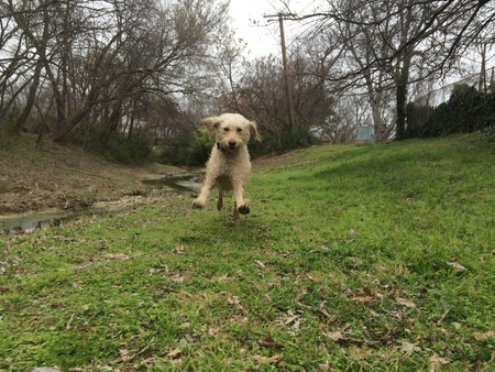 Maggie