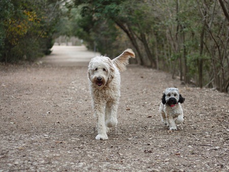 Liam and Lila