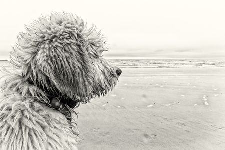 Dug