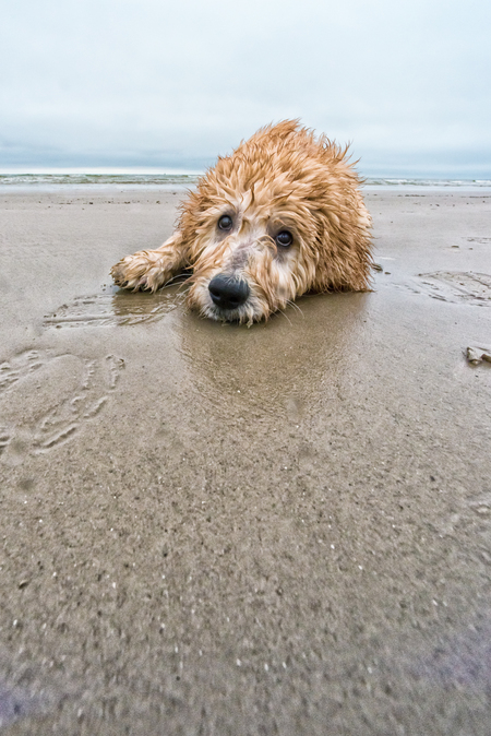 Dug