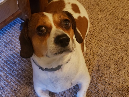 Fritz