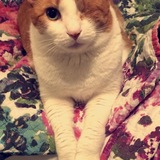 Entry image for Freddie