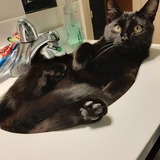 Entry image for Silas