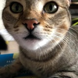 Entry image for Chase