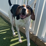 Entry image for Lincoln