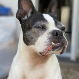 Entry image for Abby