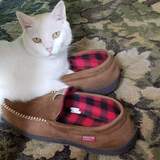 Entry image for Hugo 