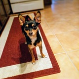 Entry image for Luna