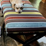 Entry image for Mr. Peabody